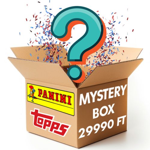 MYSTERY BOX - "L"