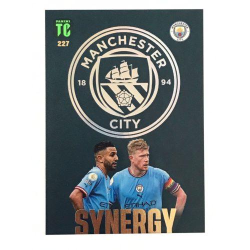 227.  Riyad Mahrez / Kevin De Bruyne