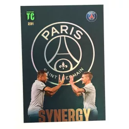 231.  Kylian Mbappé / Marco Verratti