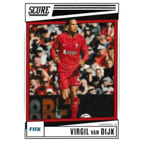 119. Virgil van Dijk