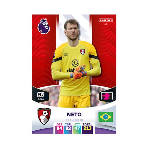 11. Neto