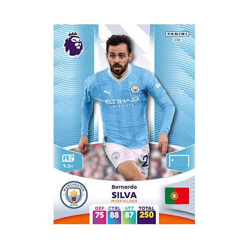 238.  Bernardo Silva 