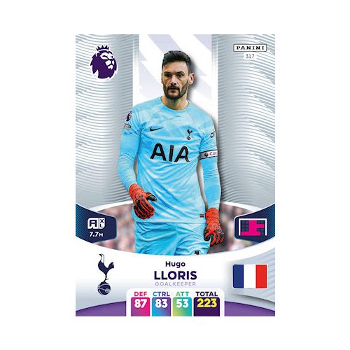 317.  Hugo Lloris 