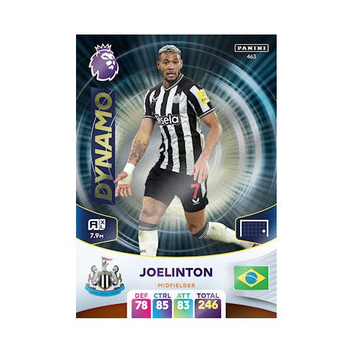 463. Joelinton