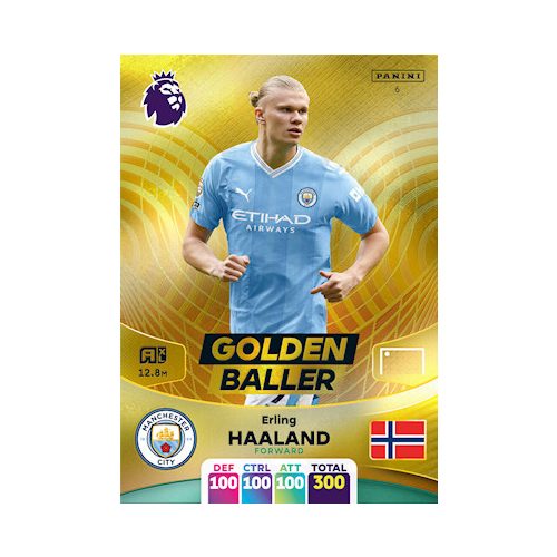 6. Erling Haaland