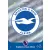 82. Club Badge -  Brighton & Hove Albion