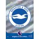 82. Club Badge -  Brighton & Hove Albion