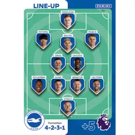 99.  Line-Up - Brighton & Hove Albion