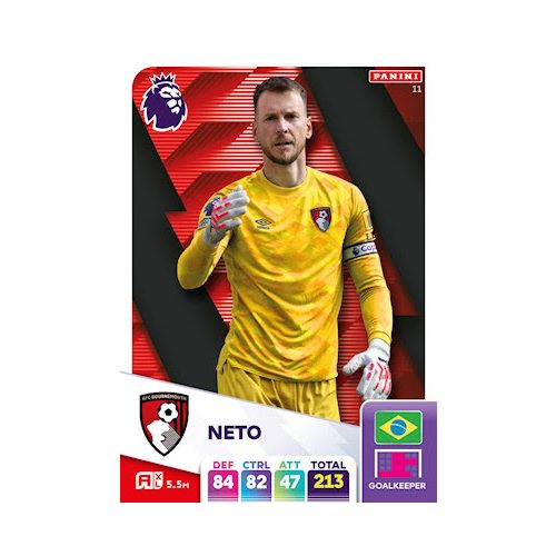 11. Neto