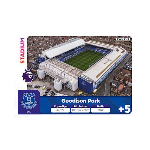 153. Goodison Park