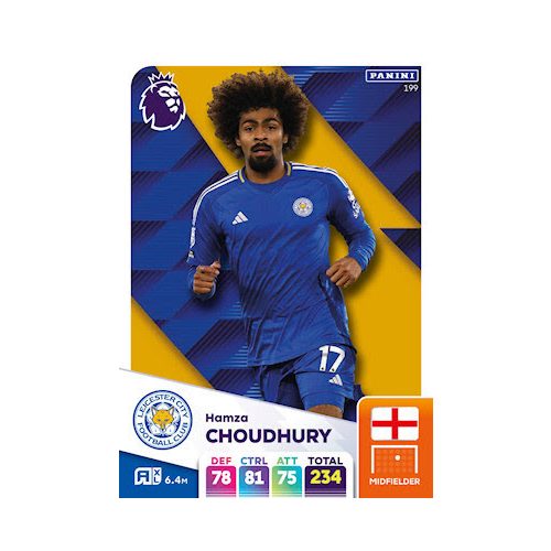 199. Hamza Choudhury