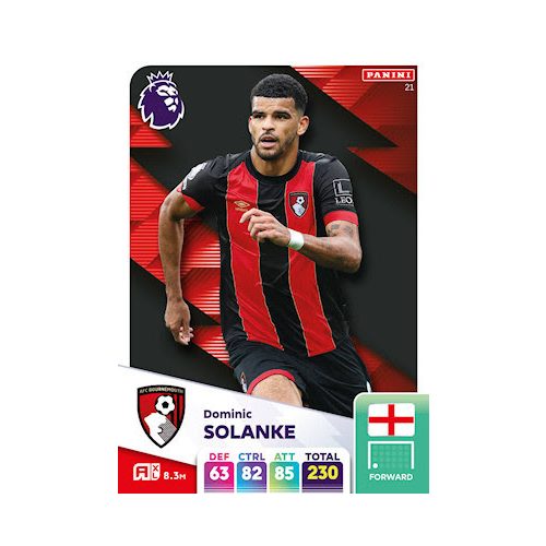 21. Dominic Solanke