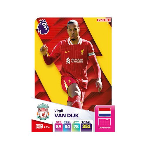 211. Virgil van Dijk