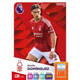 290. Nicolás Domínguez