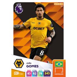 362. João Gomes