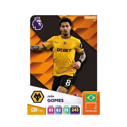 362. João Gomes