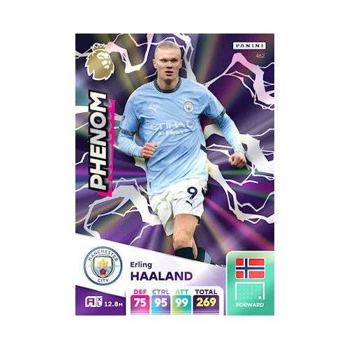 462. Erling Haaland