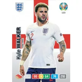 123.  Kyle Walker -  Team Mate