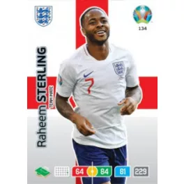 134.  Raheem Sterling  -  Team Mate