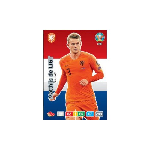 228.  Matthijs de Ligt  -  Team Mate