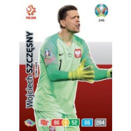 245.  Wojciech Szczęsny - Team Mate