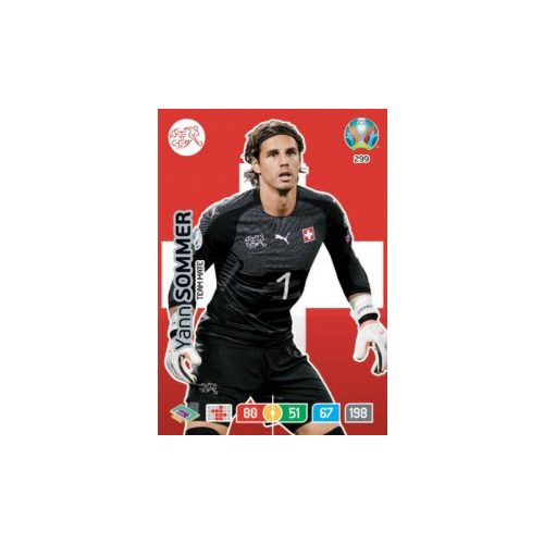 299.  Yann Sommer - Team Mate