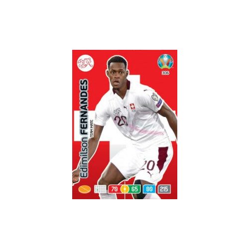 306.  Edmilson Fernandes  -  Team Mate