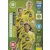 261. Sancho • Reus • Haaland - Power Trio
