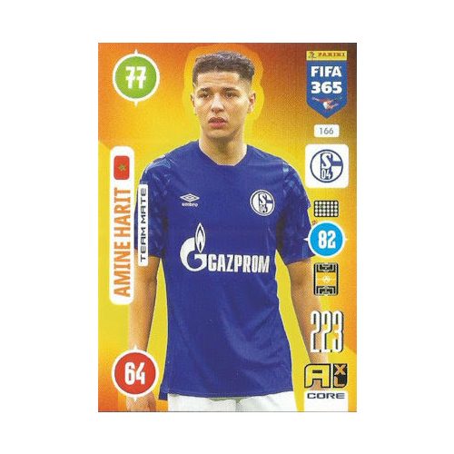 166. Amine Harit