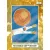 374. FIFA World Cup History - 1954
