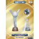 394. FIFA Trophies - U-20 World Cup