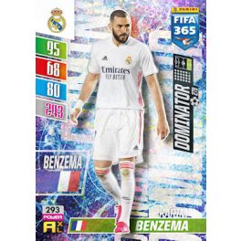 293. Karim Benzema