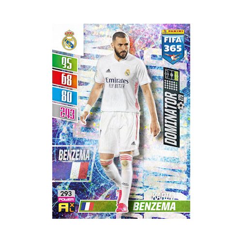 293. Karim Benzema