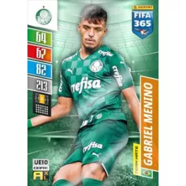 UE10. Gabriel Menino