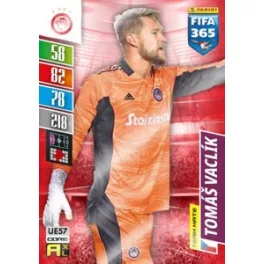UE57. Tomáš Vaclík
