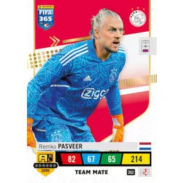 352.  Remko Pasveer