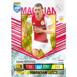 368.  Steven Berghuis - Magician