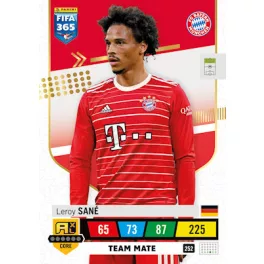 252.  Leroy Sané