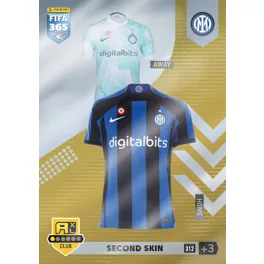 312.  Second Skin - Inter