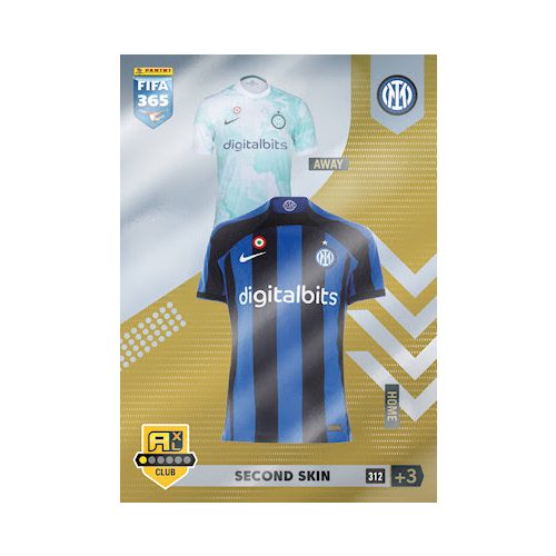 312.  Second Skin - Inter