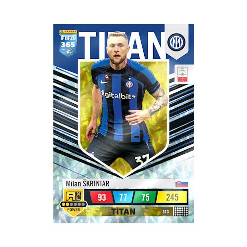 313.  Milan Škriniar - Titan