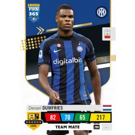 299.  Denzel Dumfries