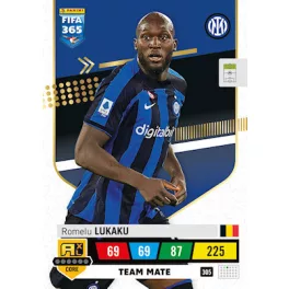 305.  Romelu Lukaku