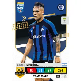 306.  Lautaro Martínez