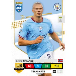 108.  Erling Haaland