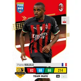 336.  Pierre Kalulu