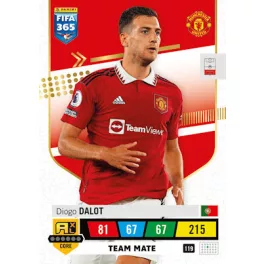 119.  Diogo Dalot