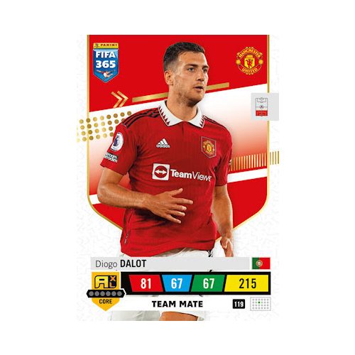 119.  Diogo Dalot