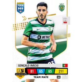 389.  Gonçalo Inácio
