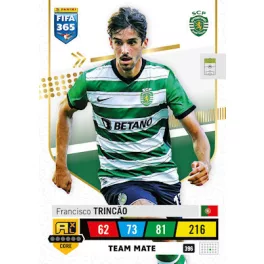 396.  Francisco Trincão